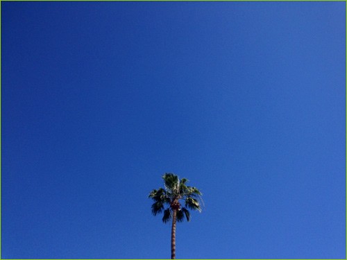 California blue sky