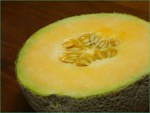 Cantaloupe from Sprout