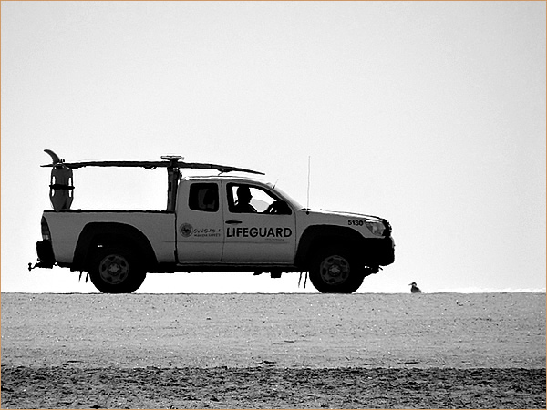 砂浜を横切るライフガードのトラック