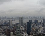 東京タワーか見える灰色の風景