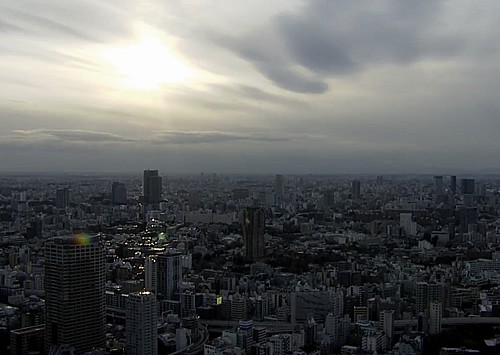 【東京タワー俯瞰風景】静かに乱反射する灰色の街