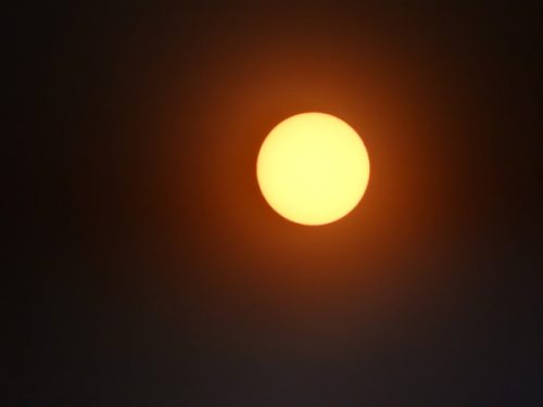 カメラに日食メガネを貼り付けて天体観測「ロスアンゼルスに日食ブームがやってくる」